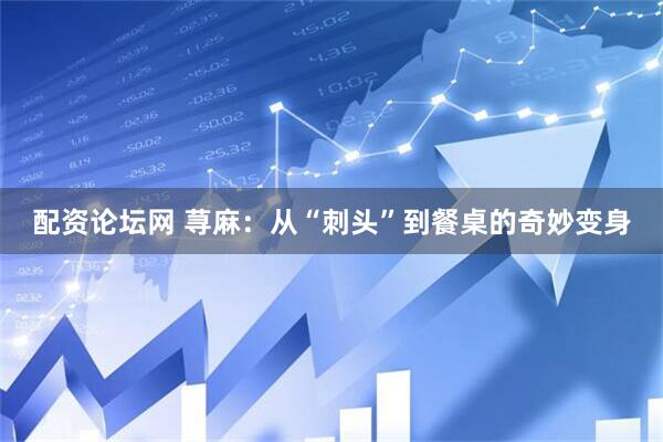 配资论坛网 荨麻：从“刺头”到餐桌的奇妙变身